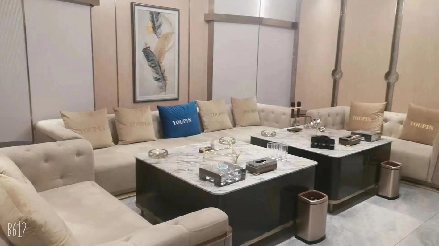 阜新商务KTV如何计费-新邱区ktv预定